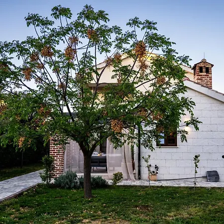 וילה House 